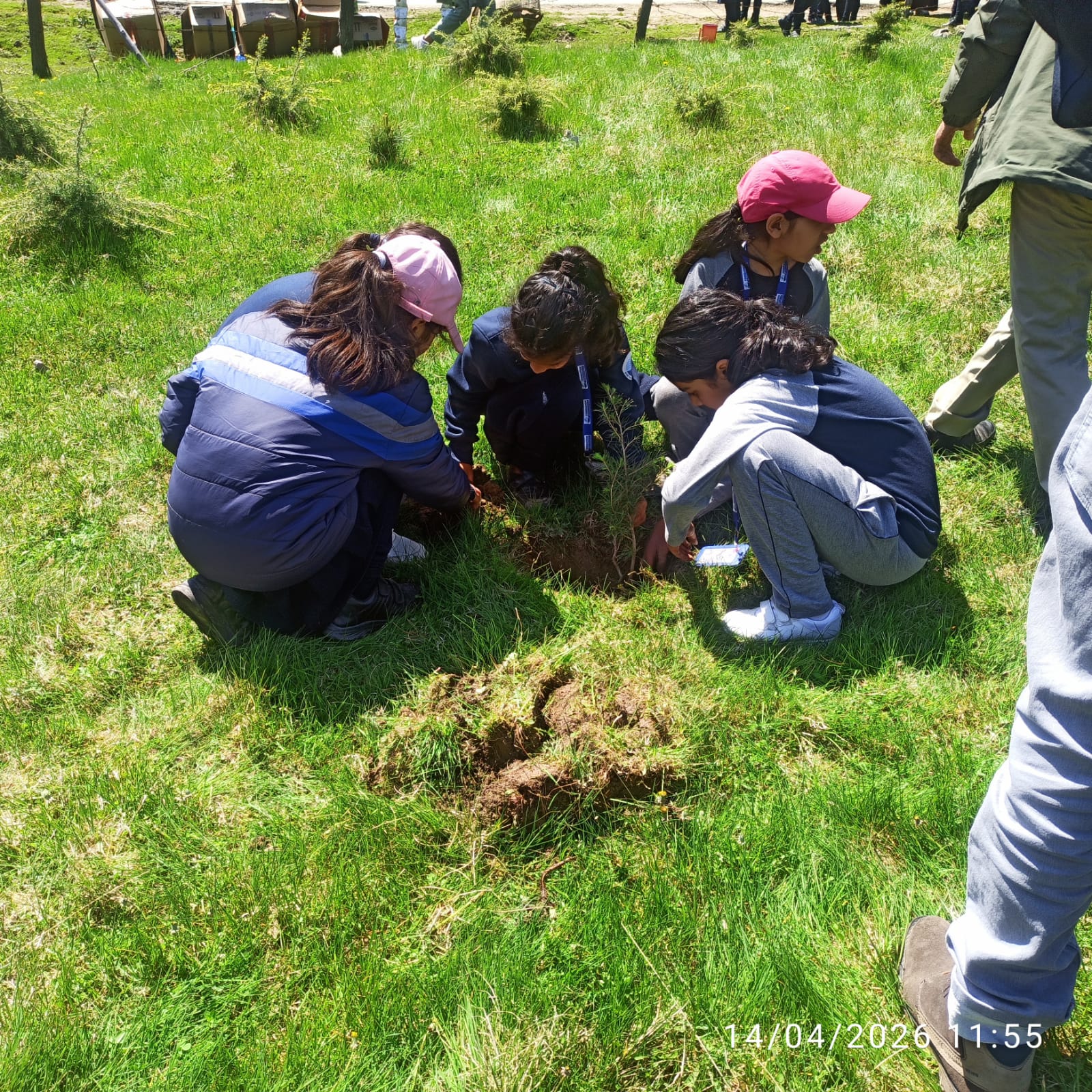 Earth Care - image 4