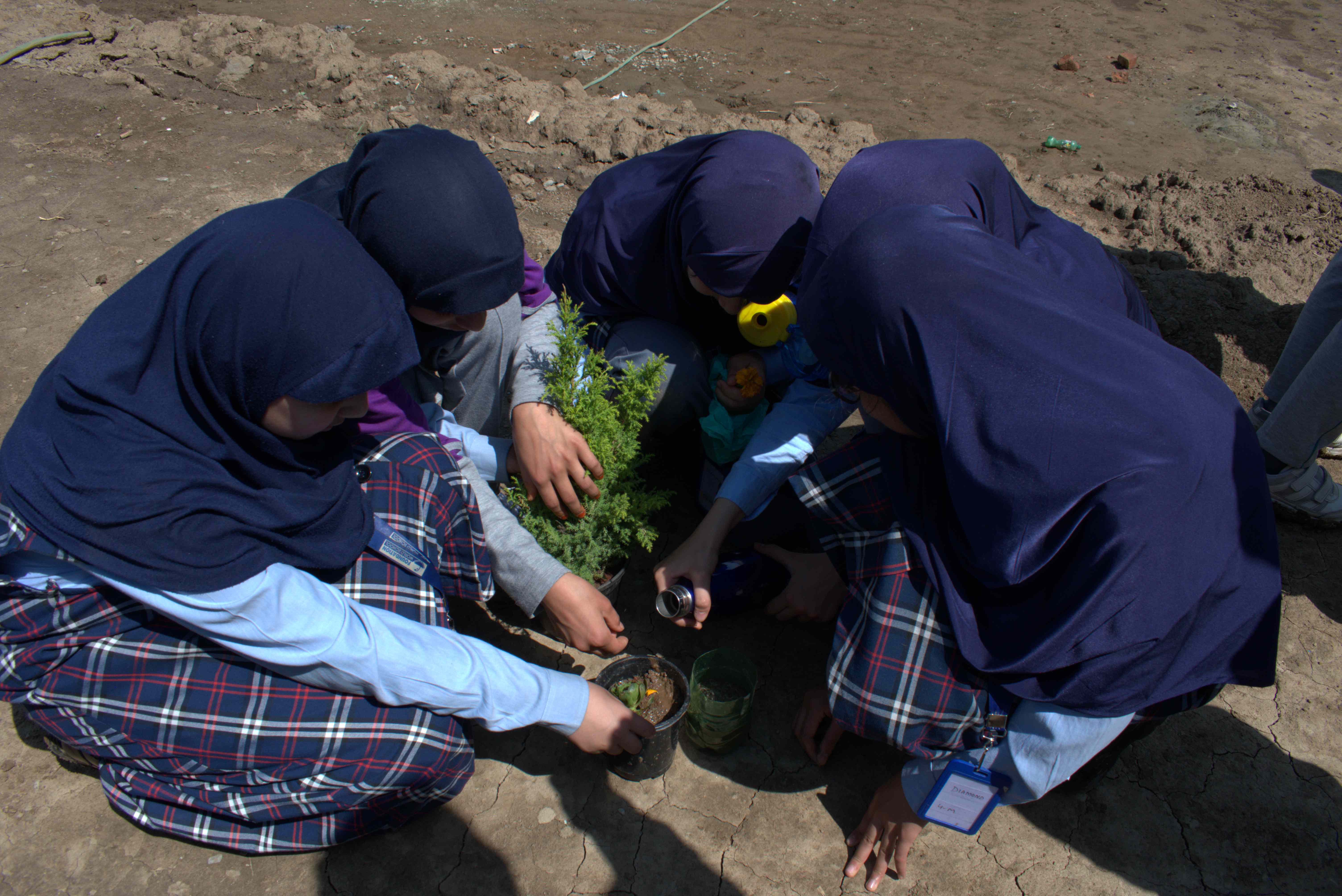 Earth Care - image 6