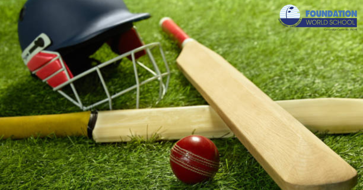 backyard cricket
