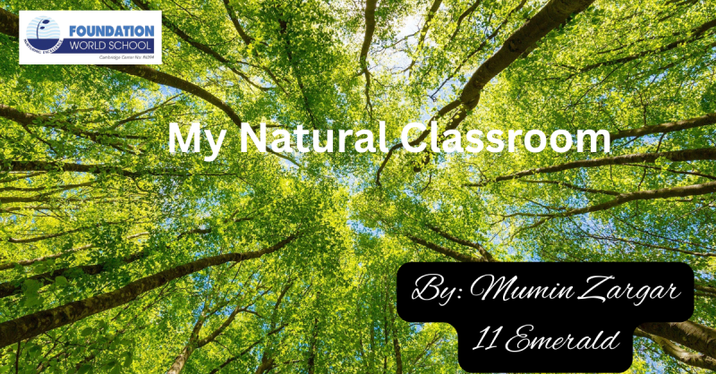 natural classroom